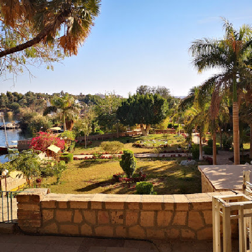 Lush greenery and plants at the Aswan Botanical Garden on Kitchener's Island in the Nile River, Egypt.