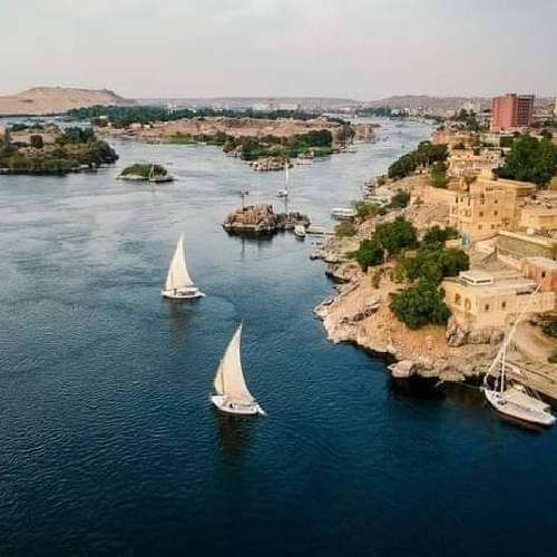 Traditional wooden feluccas sailing on the Nile River near Aswan, Egypt, with islands and cityscape in the background.