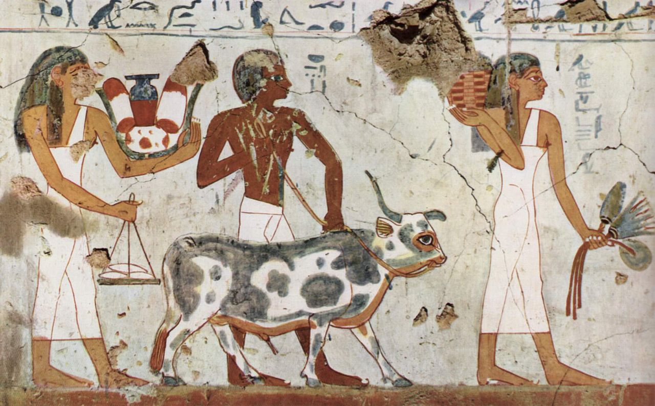 Offering bull scene in the tomb of Amenemhat, high official under Thutmose III, TT82, Luxor