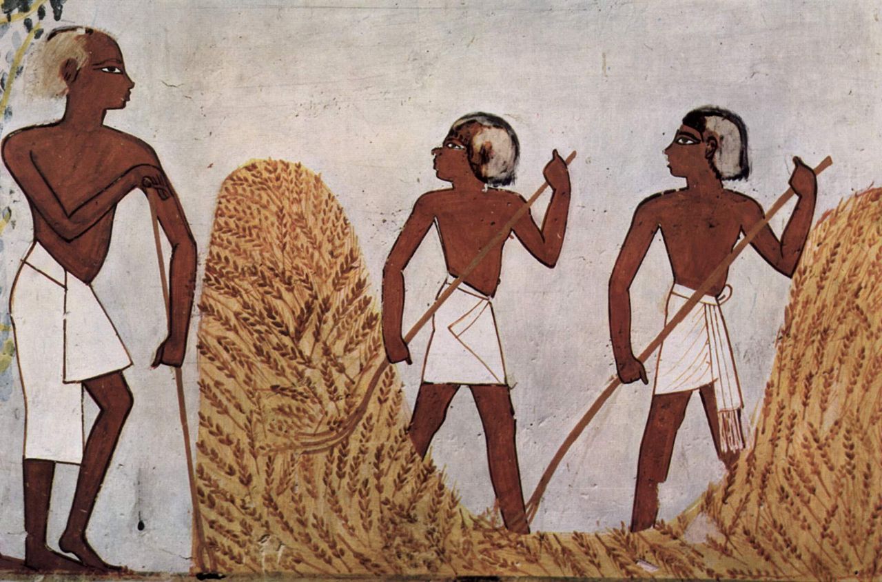 Wall painting of scribe Menna supervising harvest in Tomb TT69, Theban Necropolis
