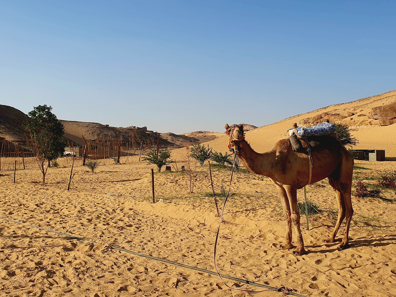 Saint Simone Monastry in Aswan