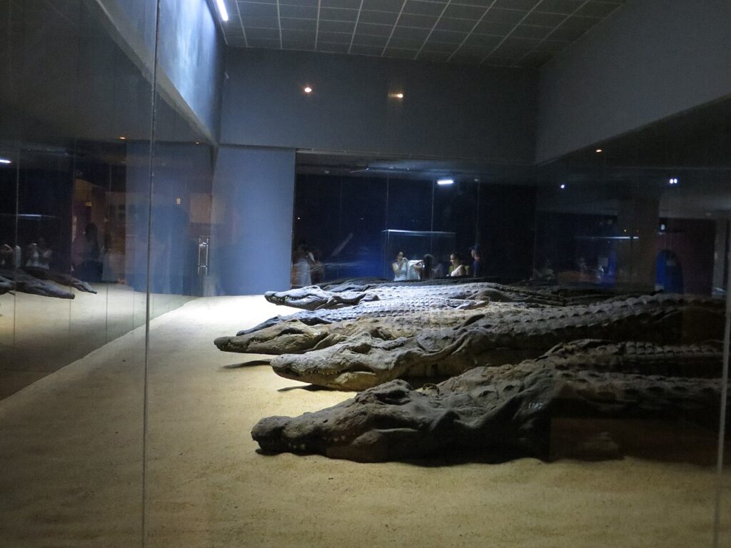 "Crocodile Museum near Kom Ombo Temple, Aswan, Egypt, displaying mummified crocodiles and Sobek artifacts."