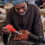 Archaeological excavation site at Saqqara, Egypt, revealing ancient tombs and artifacts.