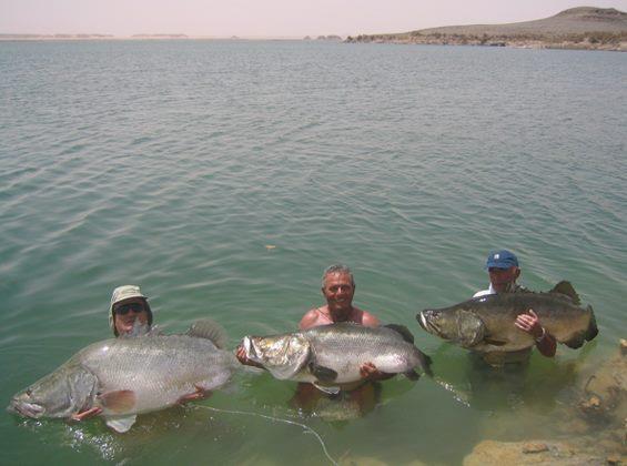 Three men standing in Lake Nasser, Egypt, proudly holding large Nile Perch caught during a fishing trip.
