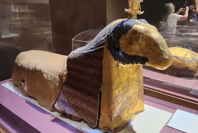 Mummified ram sacred to the ancient Egyptian god Khnum, displayed in a museum in Aswan, Egypt.