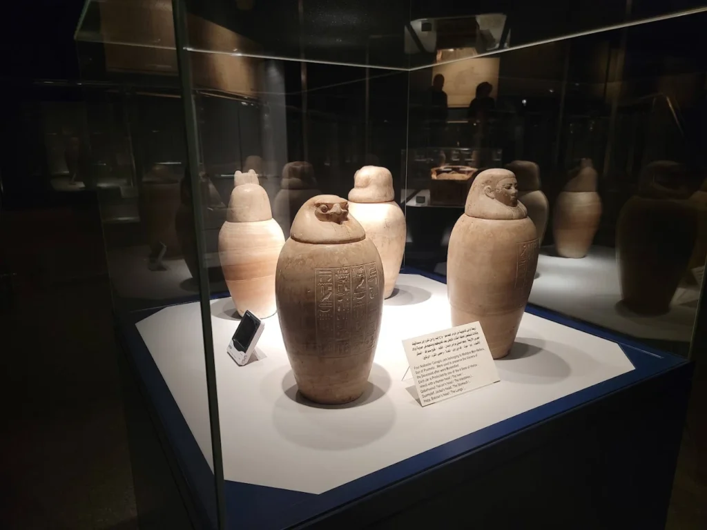 Alabaster canopic jars on display in a museum, used in ancient Egypt to store organs during mummification.
