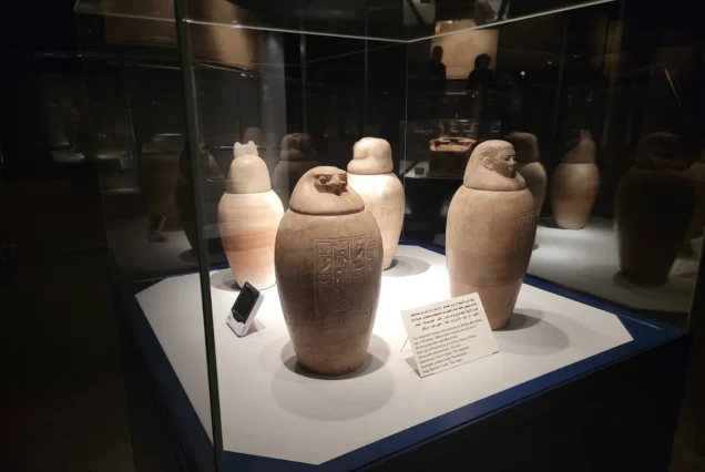 Alabaster canopic jars on display in a museum, used in ancient Egypt to store organs during mummification.