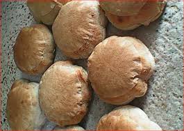 "Eish Shamsi, a traditional thick round sourdough bread from Upper Egypt, with distinctive bumps baked in a domed oven."