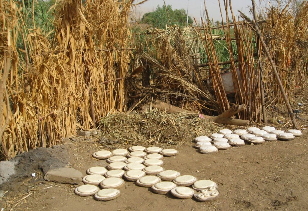"Rounds of Eish Shamsi sourdough bread left to rise in the sun, a traditional Egyptian bread-making method in Upper Egypt."