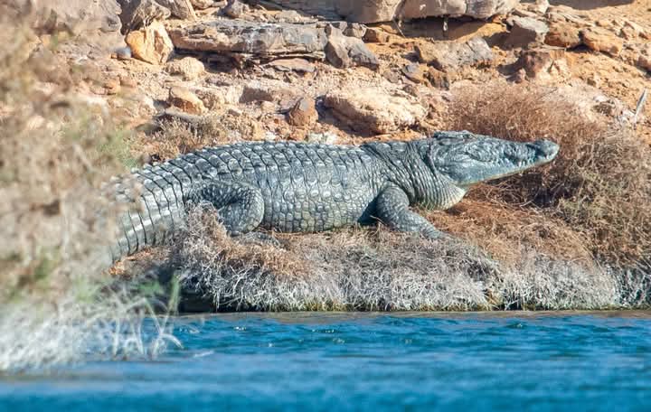 Home 83 WhatsApp Image 2026-02-07 at 9.52.04 AM