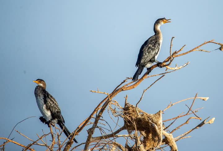 Home 61 WhatsApp Image 2026-02-07 at 9.52.05 AM (2)