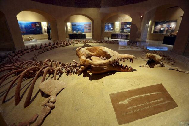 wadi-al-hitan-whale-valley