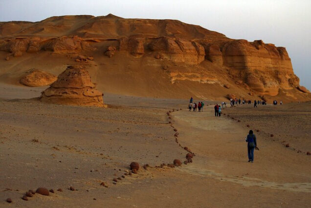 wadi-al-hitan-whale-valley