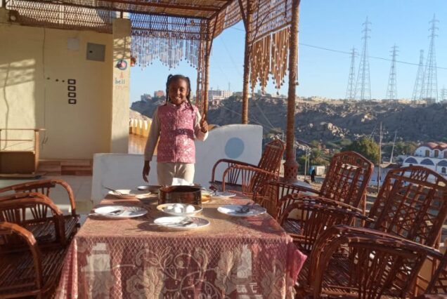 Traditional Nubian guest house on an island in the Nile surrounded by water and natural scenery.