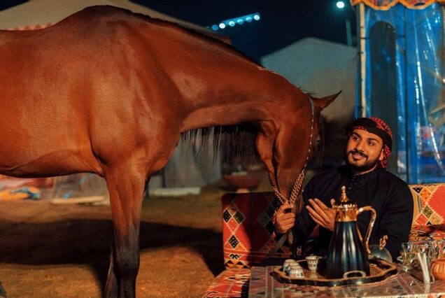 Authentic Bedouin Dining and Horse Riding in Cairo – Private Desert Cultural Escape