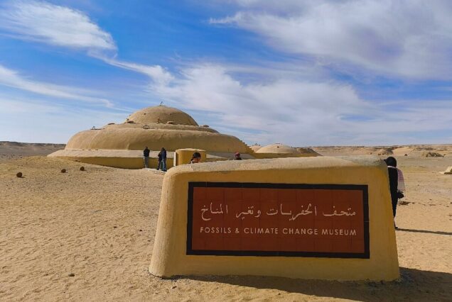 wadi-al-hitan-whale-valley