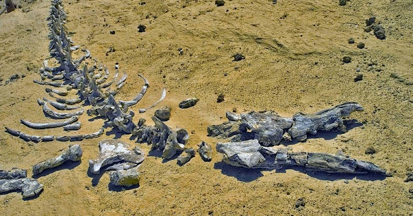 wadi-al-hitan-whale-valley