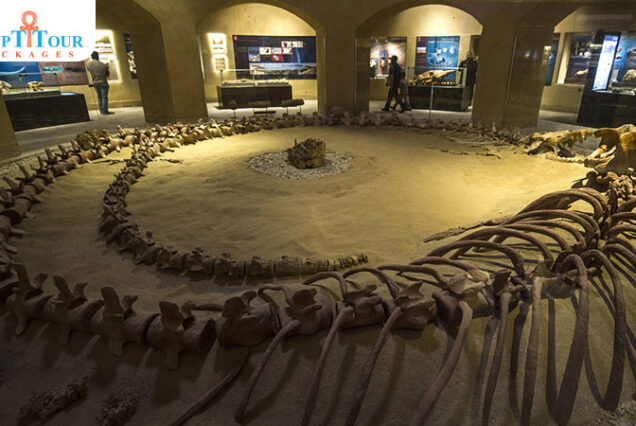 wadi-al-hitan-whale-valley