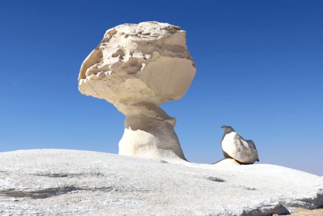 white-dessert-safari-