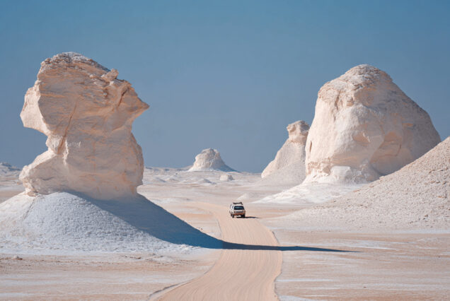 white-dessert-safari-